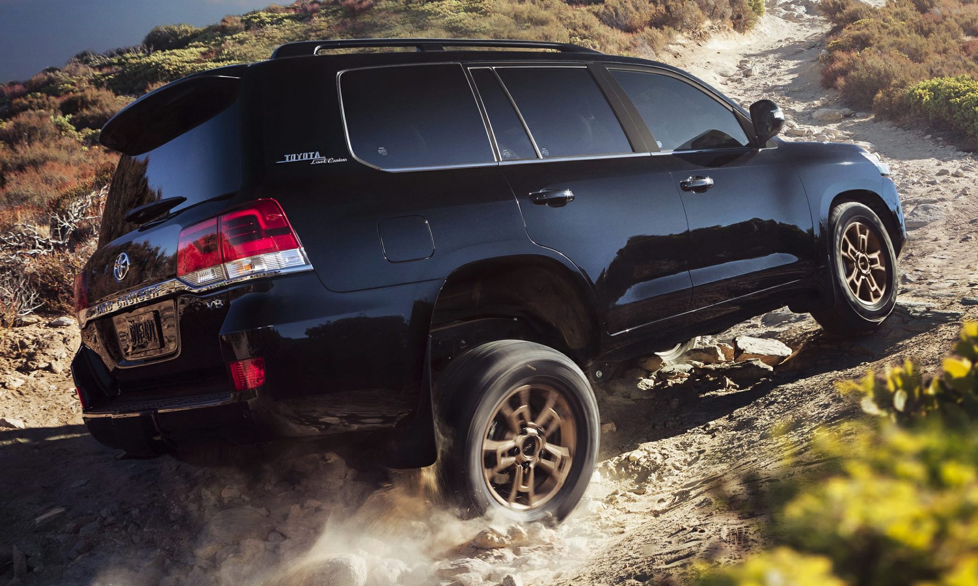 2021 Toyota Land Cruiser